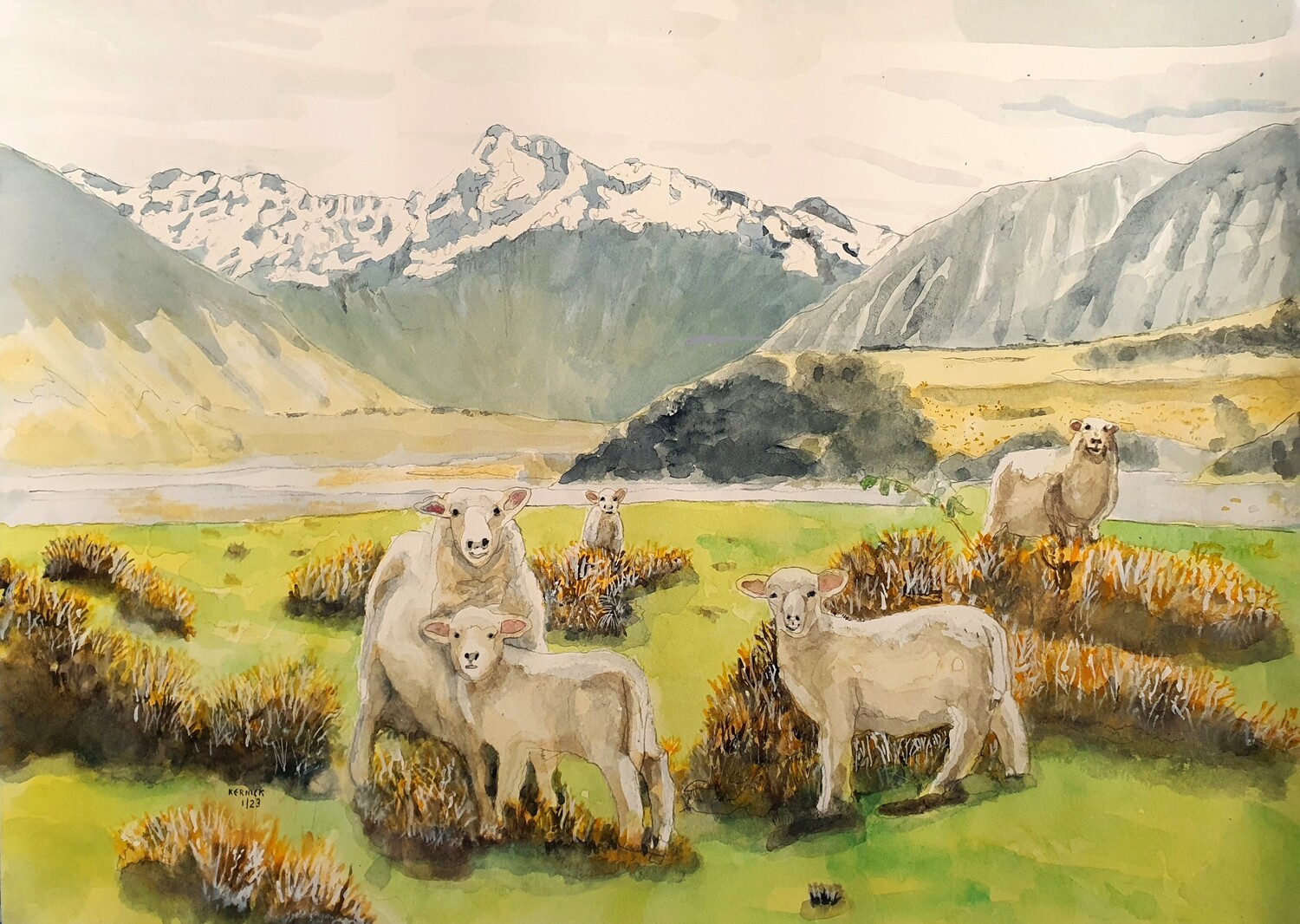 High Quality Print of &quot;Sheep grazing Rakaia Gorge, NZ&quot;