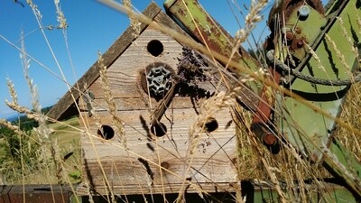 Birdhouse - Double-decker