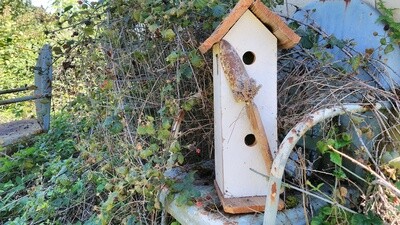 Birdhouse - Double-decker