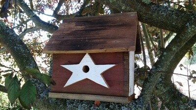 Birdhouse - American star