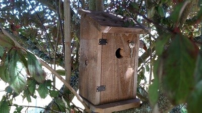Birdhouse - Outhouse Signature Nesting Box