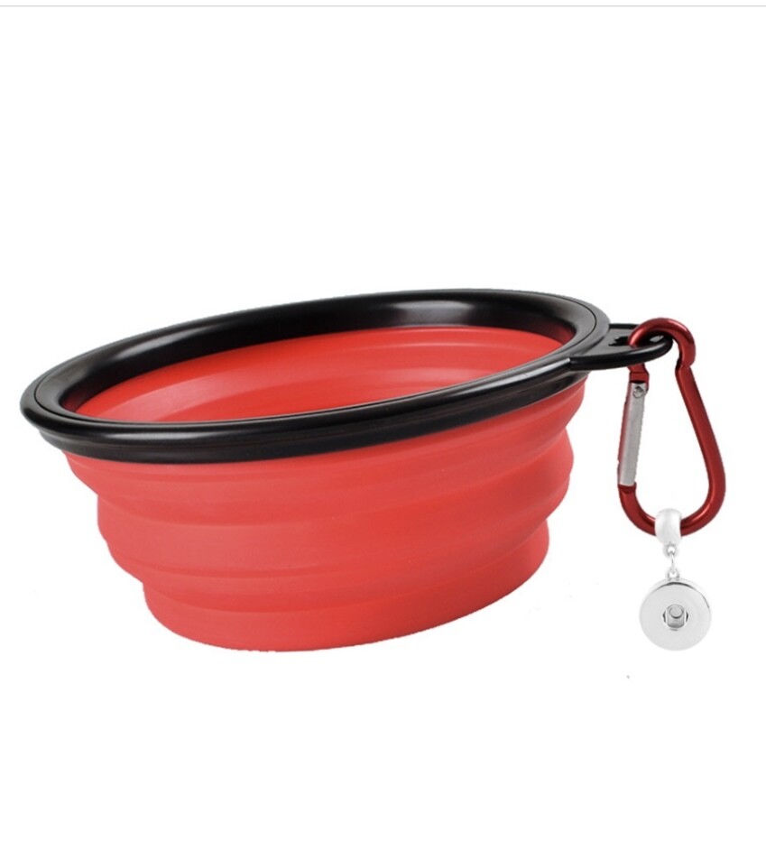 Collapsible Bowl