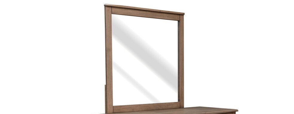MEZQUITE- 6622 MIRROR