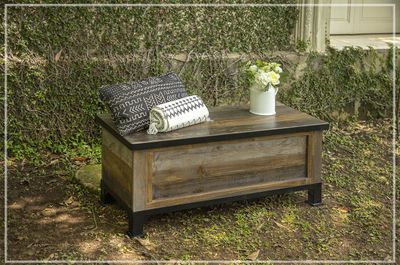 ANTIQUE GRAY - 9771 TRUNK