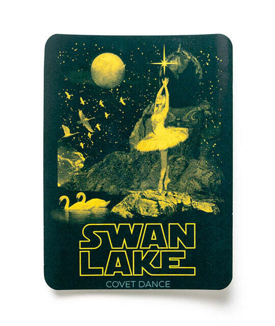 Swan Lake Sticker