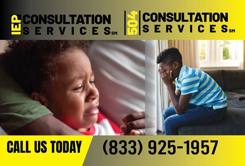 45 Minute Call/Consultation