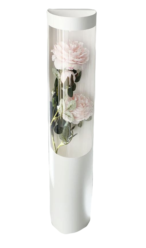 Luxurious Transparent Boxed Flowers