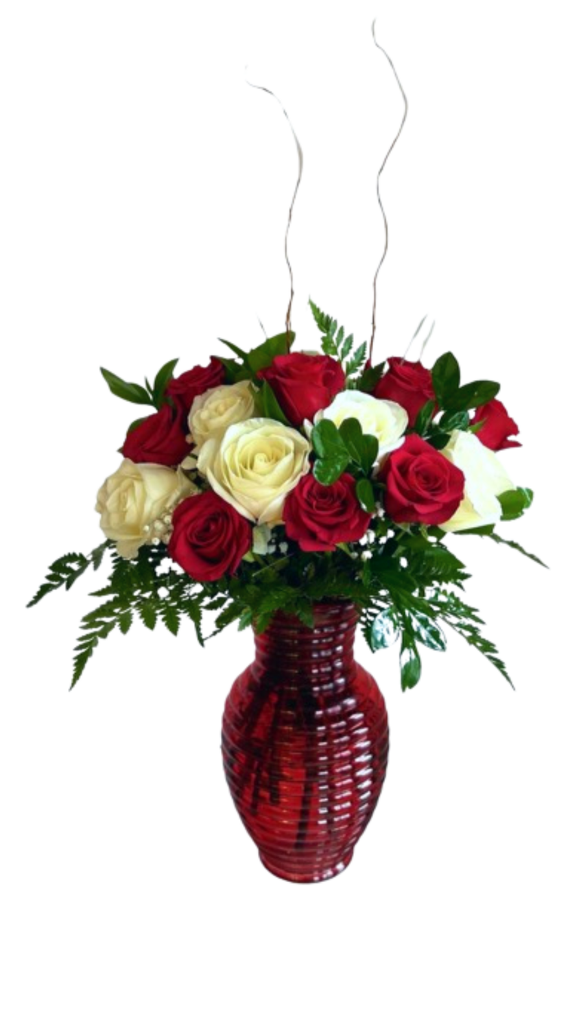 2 Dozen Roses Tall Vased