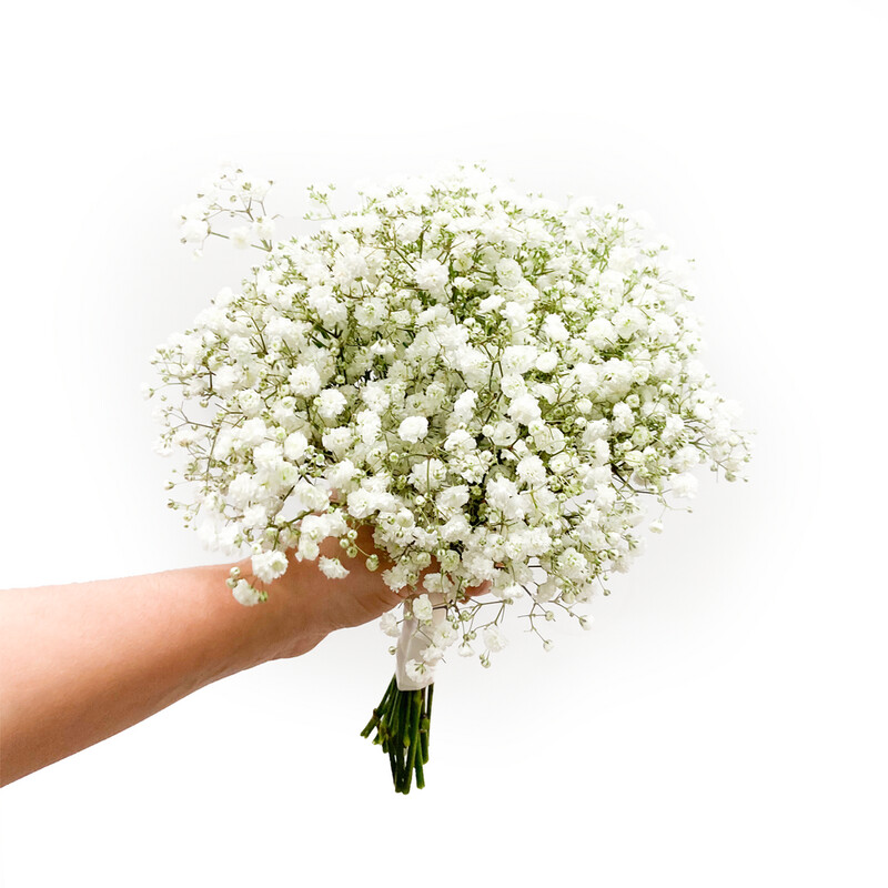 Babies Breath Bridesmaid Bouquet