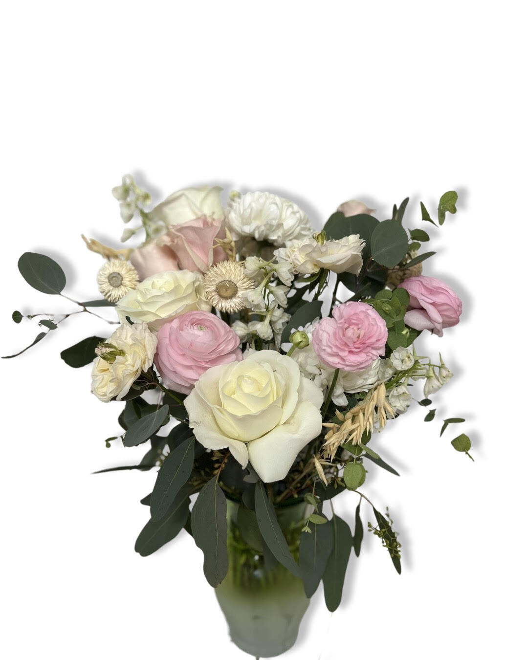 6 Month Subscription