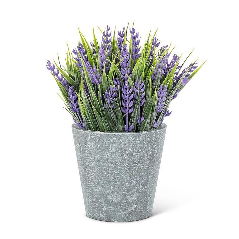 Lavender Plant Pot