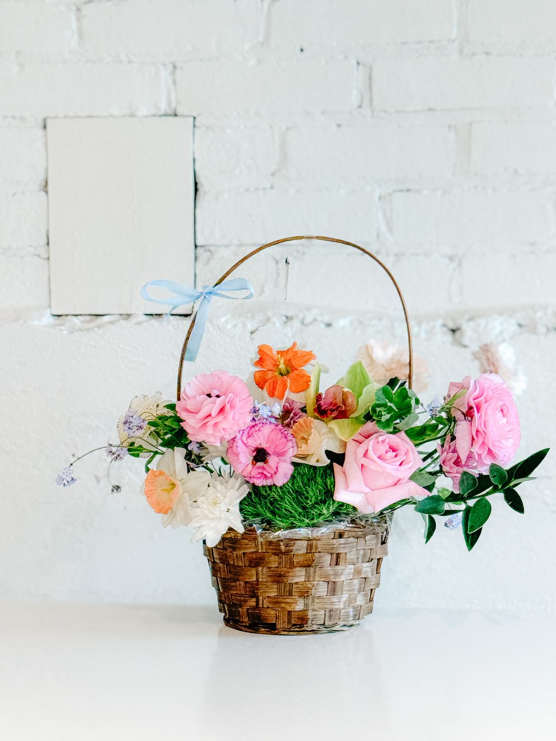 The Isabelle, Size: Small