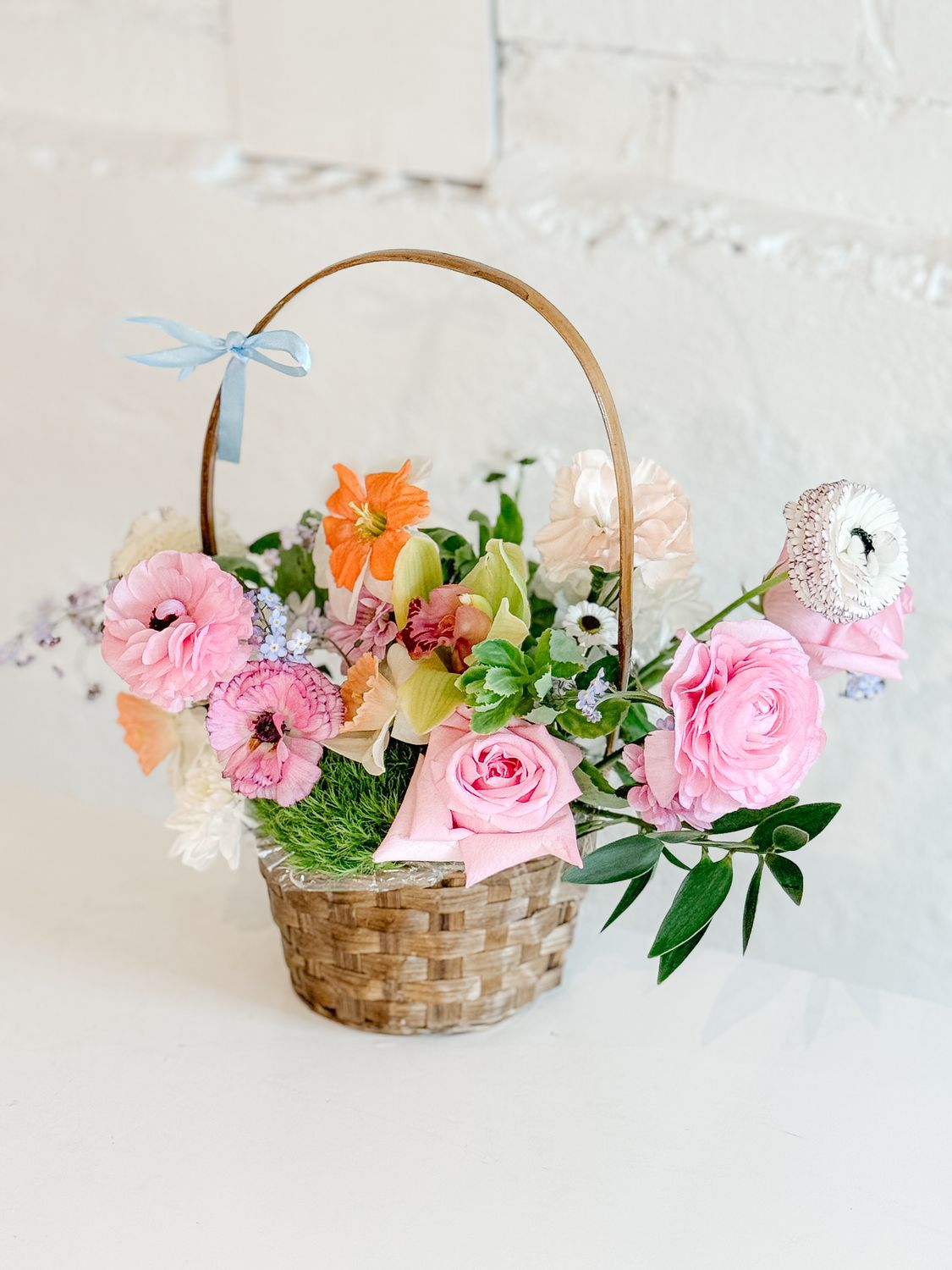 The Isabelle, Size: Small