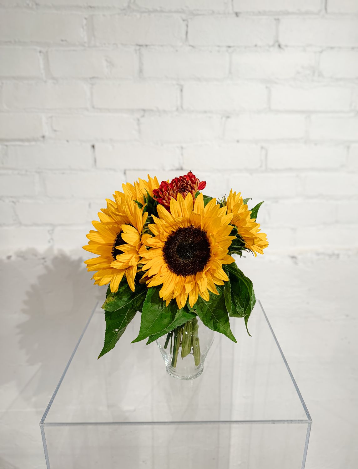 Sunflower Delight, Size: Small