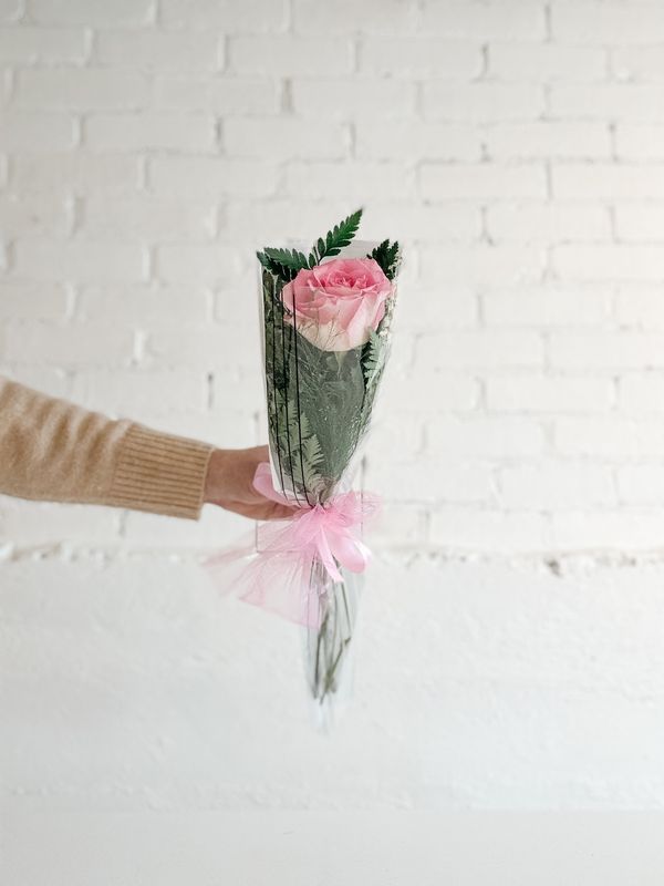 Single Recital Rose