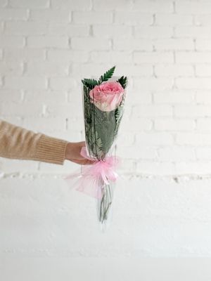 Single Recital Rose
