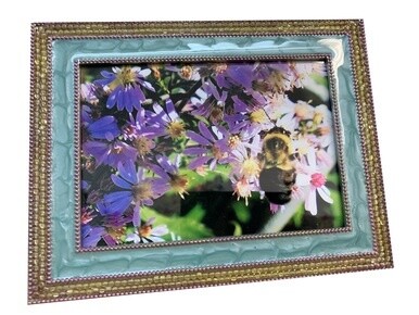 Bumblebee on Aster Framed Photograph - 8.75