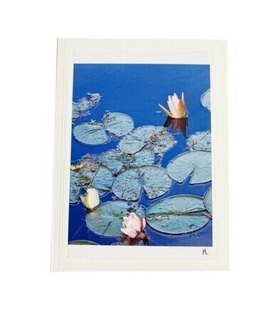 Lily Pads Photo Card