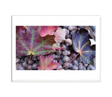 My Garden - Autumn Leaves and Acorns Card