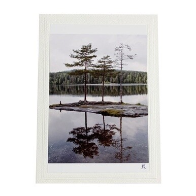 Island with Trees Photo Card