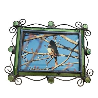 Bird on a Branch Framed Photograph - 8.5