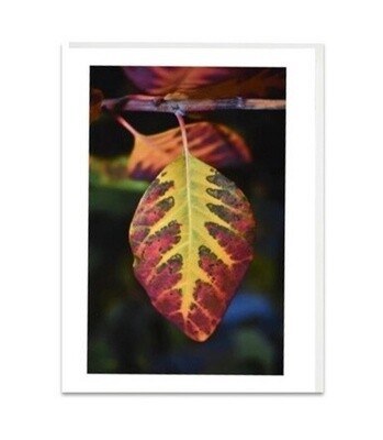 My Garden - Smoke Tree Leaf Card