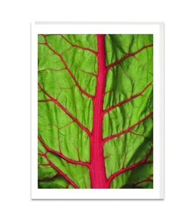 Red Chard Tree Card