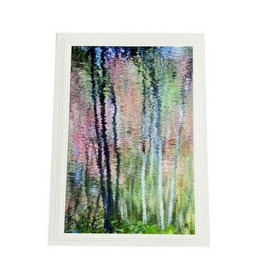 Reflection of Trees Photo Card