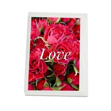Love Red Roses Note Card