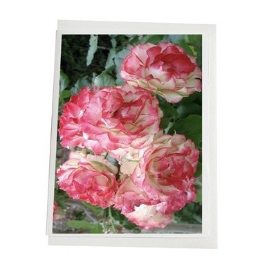 Renoir Roses Note Card