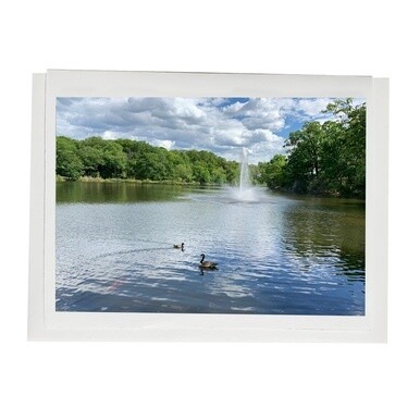 Fellsmere Pond Note Card Set (6-pack)