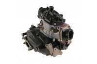 ROTAX 125 DD2 EVO
