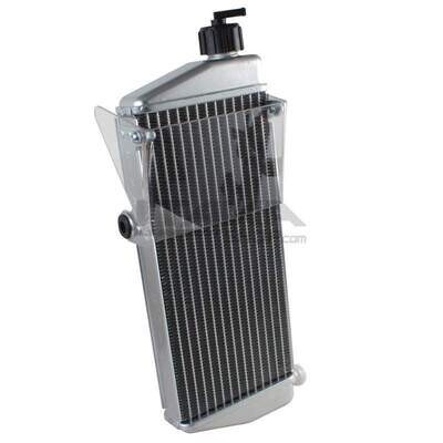 RADIATEUR MAX EVO/J125 MAX/MINI A PARTIR 2011