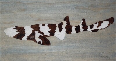 Brown Banded Bamboo Shark #5