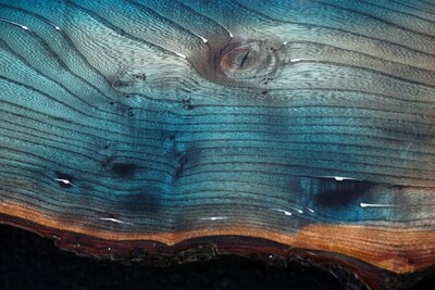 Half Moon Bay Area Woods