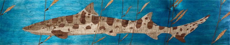&quot;Kelp Leopard 3/6&quot; Aluminum Print (12&quot;H x 62&quot;L x .75&quot;D)