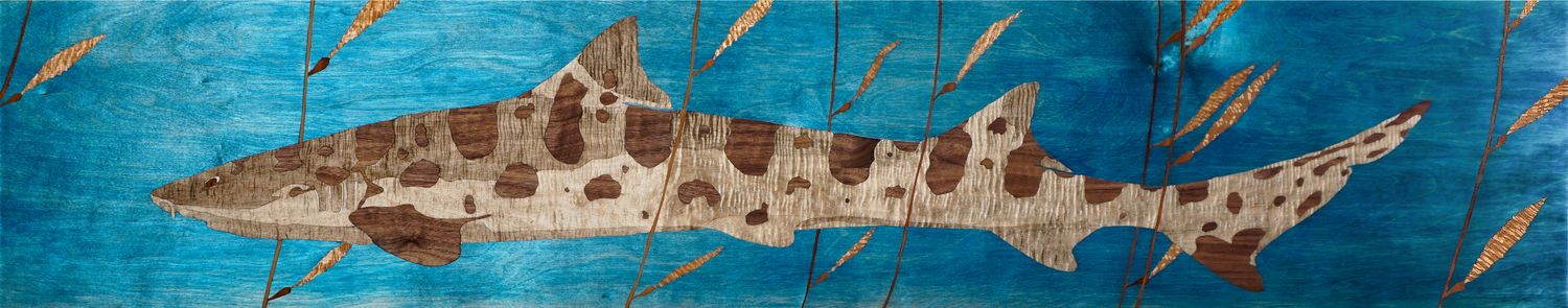 &quot;Kelp Leopard 3/6&quot; Aluminum Print (7&quot;H x 36&quot;L x .75&quot;D)