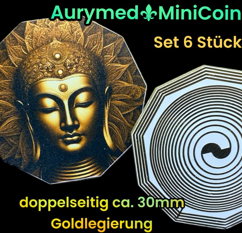 30 mm Disc - 6er Set- Buddha Kopf - Bifilar Spule (fermatsche Antenne, doppelseitig