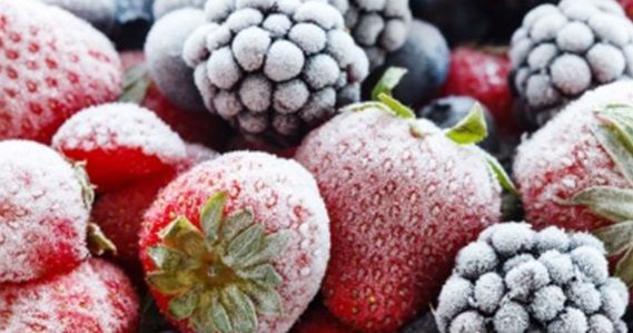 Equipos para Ultracongelar Productos y Alimentos de la Industria Agroalimentaria