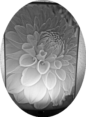 Night light lithophane