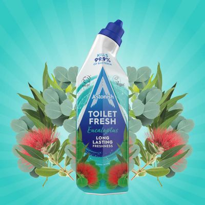 Astonish Toilet Fresh Gel Eucalyptus 750ml