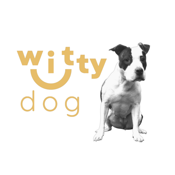 Witty Dog