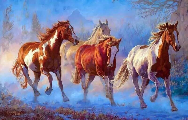 Horses Running In Forest / Paint by Numbers kit