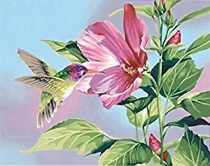 Cute Flowers and Bird / Painting by Numbers