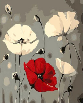 Red and White Poppy Flowers / Paint by Numbers