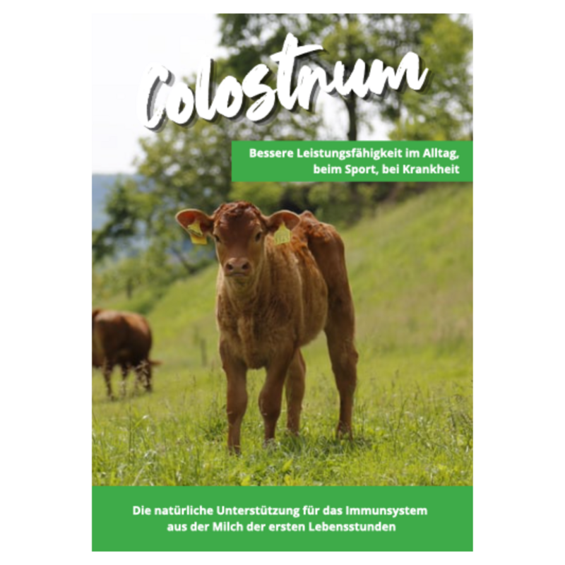 COLOSTRUM - FLYER