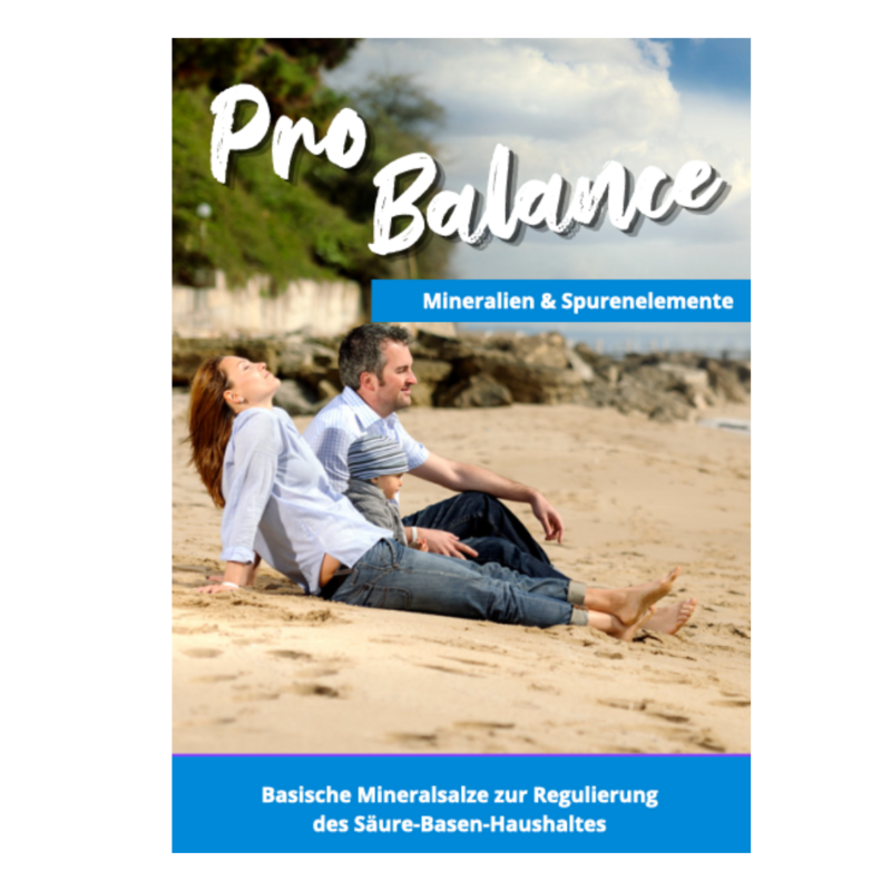 PRO BALANCE - FLYER