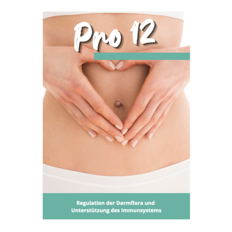 PRO12 - FLYER (ALT)