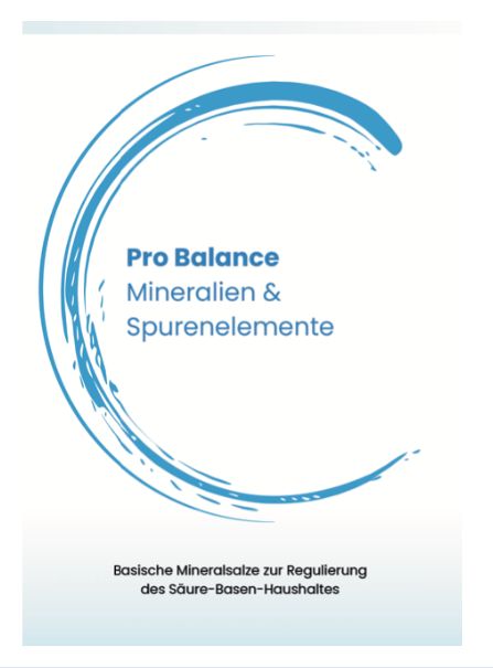 PRO BALANCE - FLYER