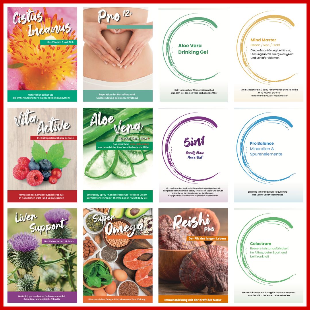 FLYER-SET &quot;HEALTH&quot; (12 verschiedene Flyer á 25 Stück)